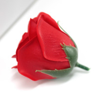Červená mydlová ruža 50ks