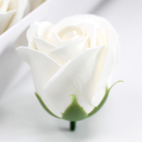 Biela mydlová ruža 50ks