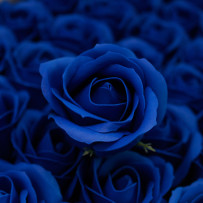 Roses de savon bleu marine 50pcs