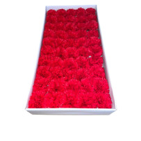 Red soap carnation 50 pieces
