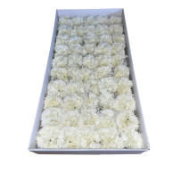 White soap carnation 50 pieces