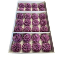 Violetinės muilo chrizantemos 28 vnt.