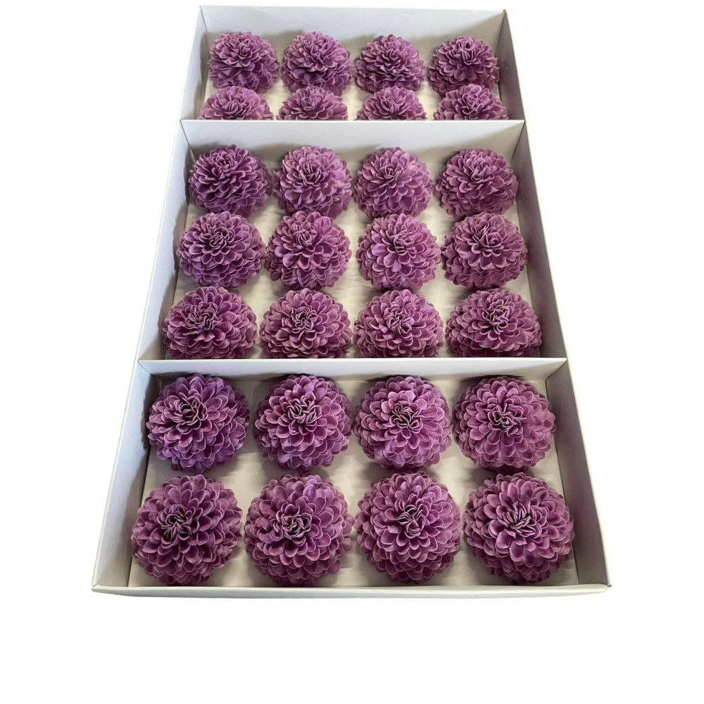 Violetinės muilo chrizantemos 28 vnt.