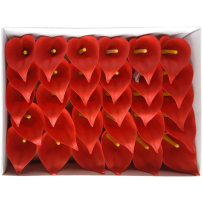 Rote Seifenkalliope 30 Stück