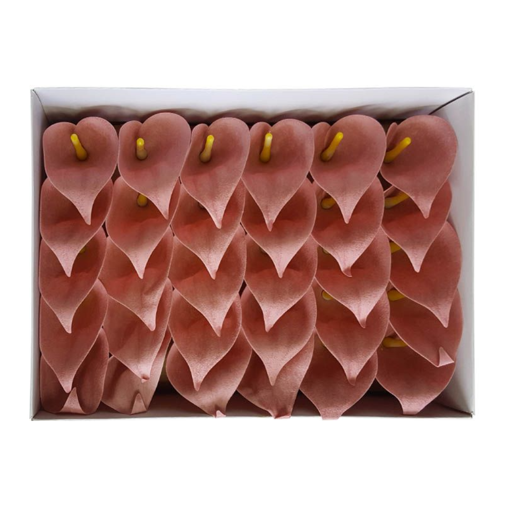 Dirty pink soap calyces 30 pieces