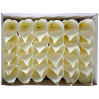 Soap cream calyces 30 pieces