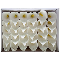 White soap kales 30 pieces
