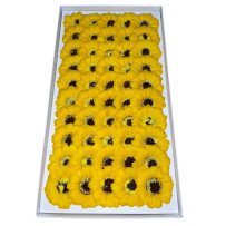 Žlté mydlové slnečnice 50 kusov