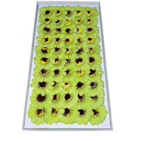 Słoneczniki mydlane zielone 50 sztuk