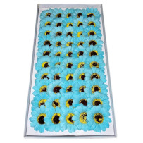 Blue soap sunflowers 50 pieces