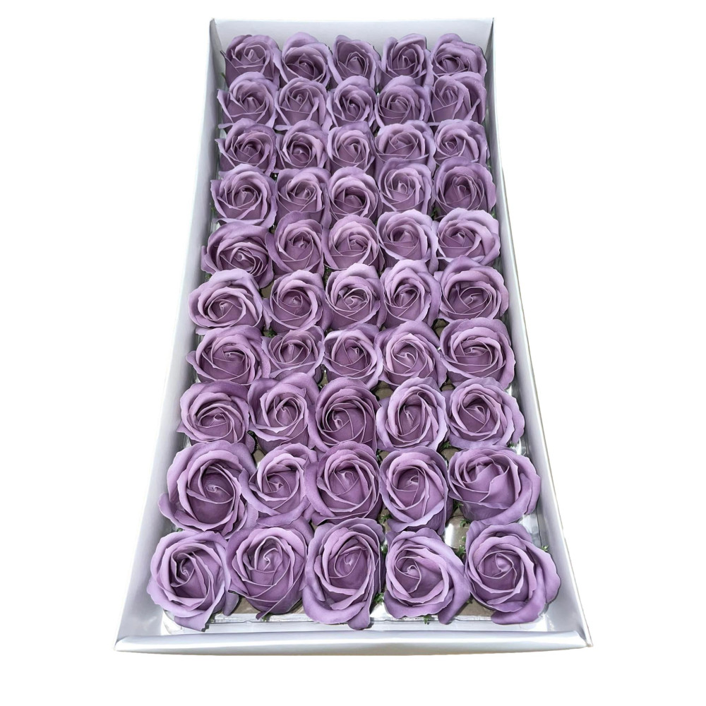 Staubige lila Seifenrosen 50Stück