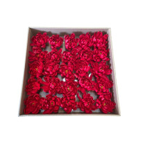 Seifenlotusblumen 25 Stück - Rot