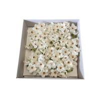Mydlane kwiaty wiśni 25 sztuk - Biały