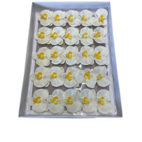 Soap Orchids 25 Pieces - White
