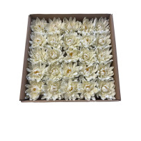 Soap lotus flowers 25 pieces - Cream.