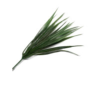 brin d'herbe verte : 1 - 12cm