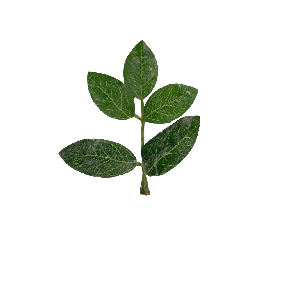 zielone liście wzór:1 - 10cm