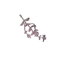 Twig light pink 01w1 - 10cm