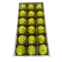 Große Chrysantheme Seifenstäbchen 18 Stück - Grün