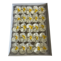 Savon Orchidées 25 pièces - Crème