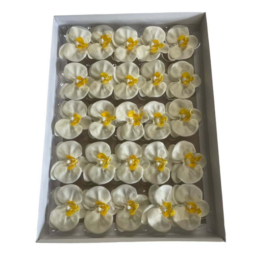 Soap Orchids 25 Pieces - Cream.