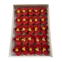 Soap Orchids 25 Pieces - Maroon