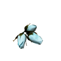Róże Mydlane Jasny Niebieski 3cm 50sztuk