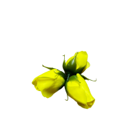 Róże Mydlane Żółty 3cm 50sztuk