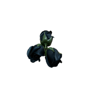 Róże Mydlane Czarny 4cm 50sztuk
