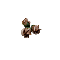 Róże Mydlane Kawowy 4cm 50sztuk