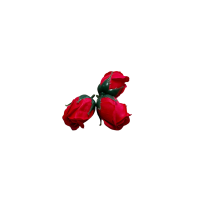 Róże Mydlane Czerwony 4cm 50sztuk