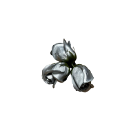 Róże Mydlane Srebrny 4cm 50sztuk