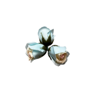 Róże dwukolorowe wzór-19 mydlane 50sztuk