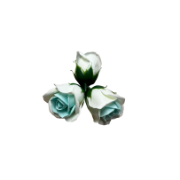 Róże dwukolorowe wzór-28 mydlane 50sztuk