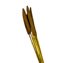 Babala żółta 5szt - 60cm