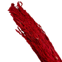 Trawa pampasowa czerwona 5szt - 70cm
