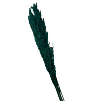 Trawa pampasowa ciemnozielona 5szt - 70cm